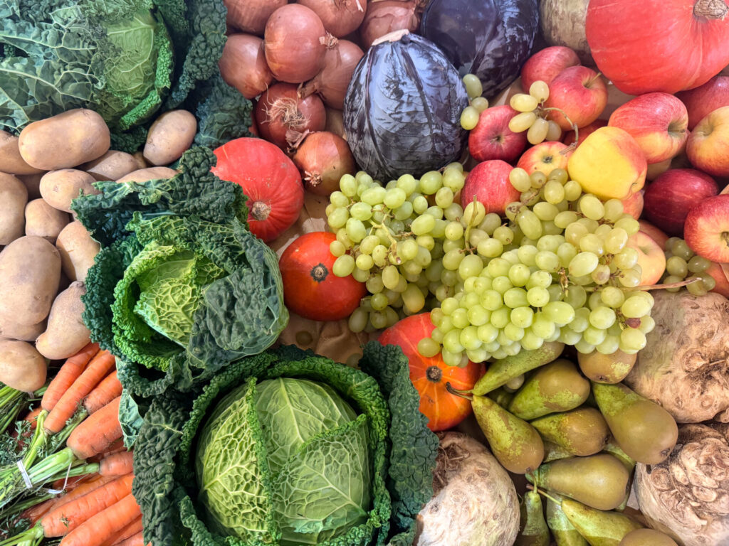 Erntedankfest 2025 | DSK Seniorenzentrum Ludwigshafen